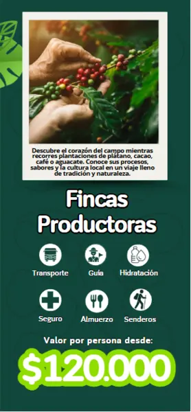 Fincas Productoras