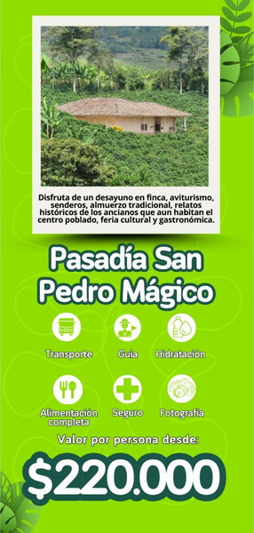 Pasadía San Pedro Mágico.