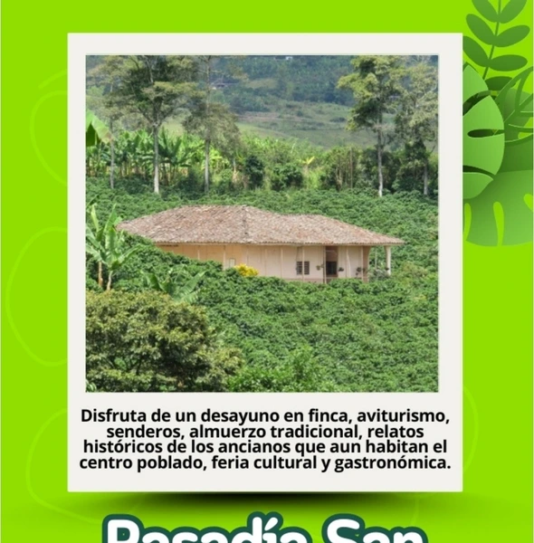 Pasadía San Pedro Mágico..