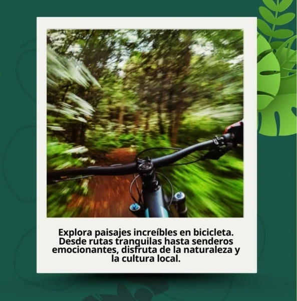 imagen Bici Tours