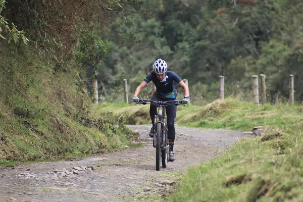 Bici Tour Largo (3 Horas)