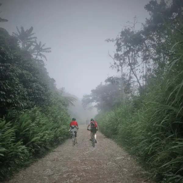 Bici Tour Standar (1 Hora)